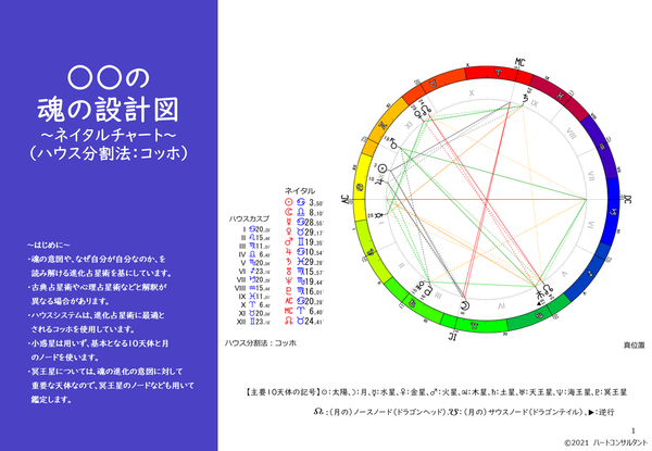 詳細鑑定書の内容例（1）