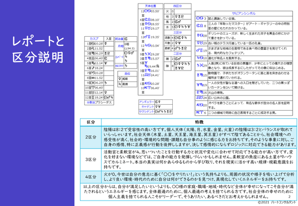 詳細鑑定書の内容例（2）
